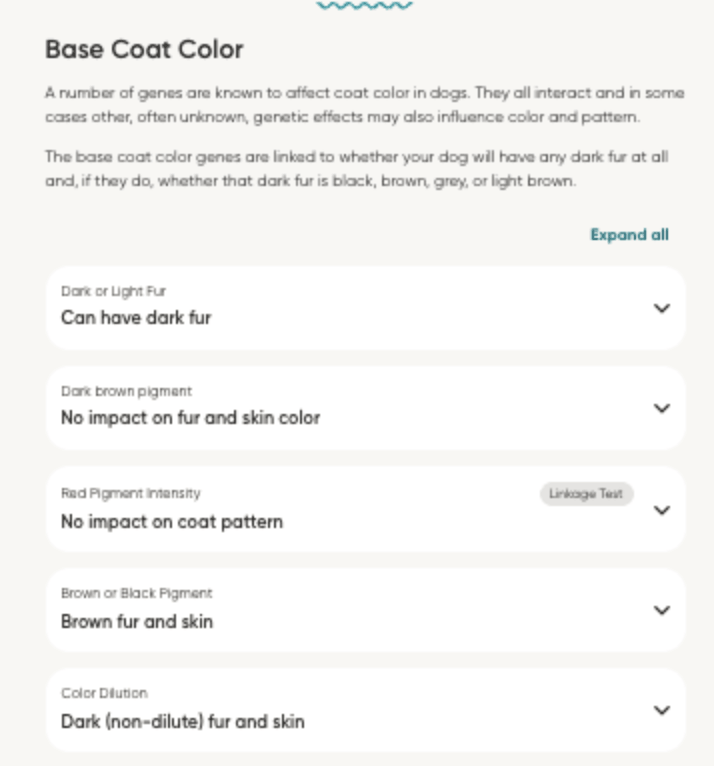 dog dna testing traitsa